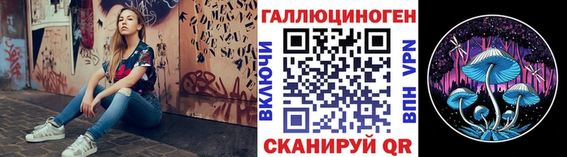 купить наркотик  Камбарка  Псилоцибиновые грибы Magic Shrooms 